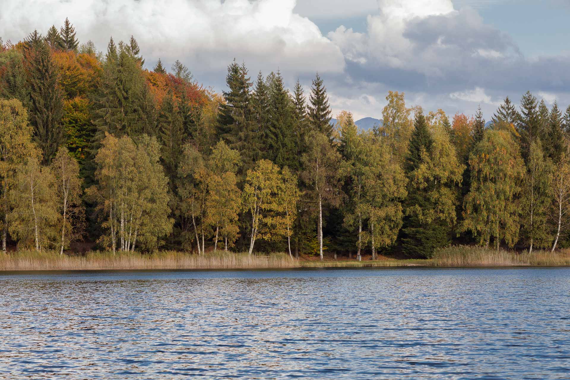 Lago Santo Cembra Autunno