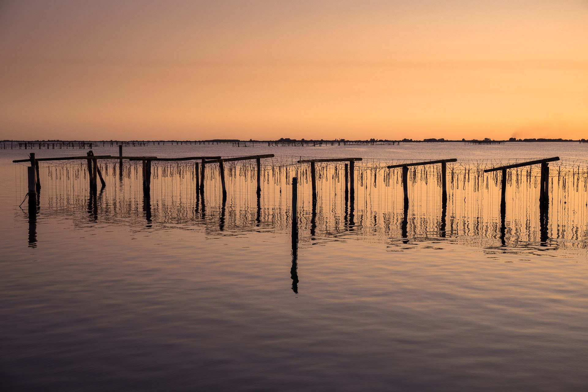 Delta del Po Sacca degli Scardovari