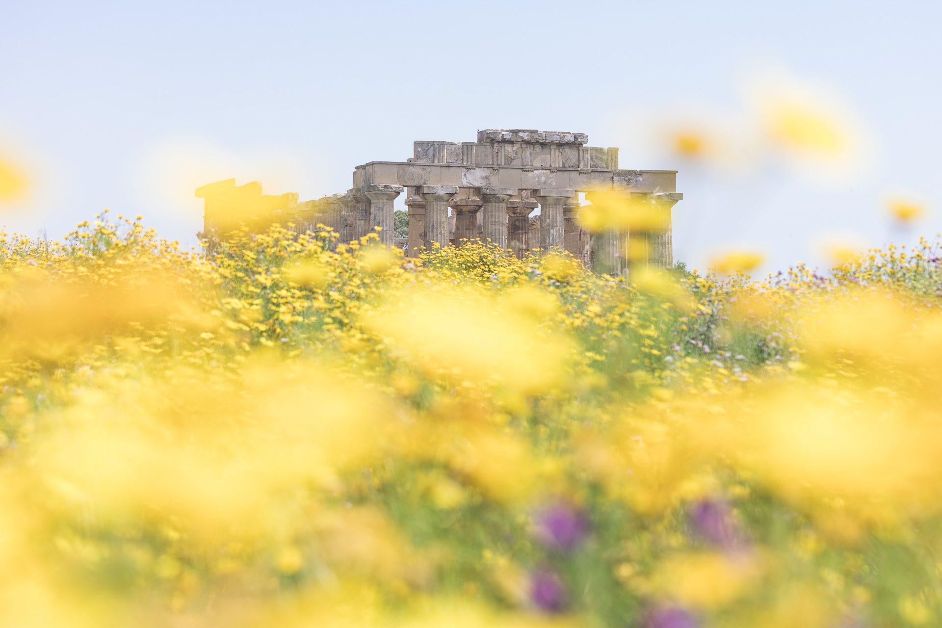 Selinunte Templi Sicilia