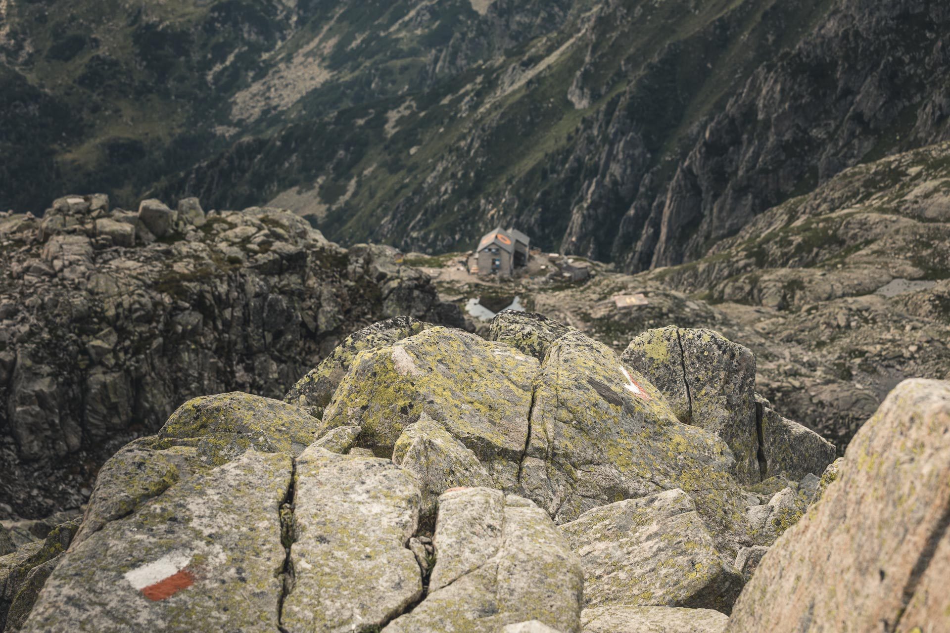 Cima d'Asta Lagorai